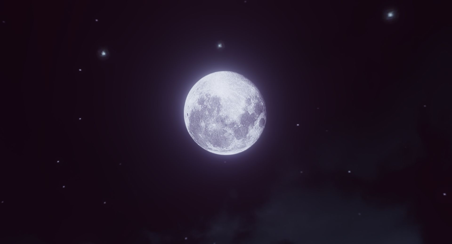 Moonlit Night ~